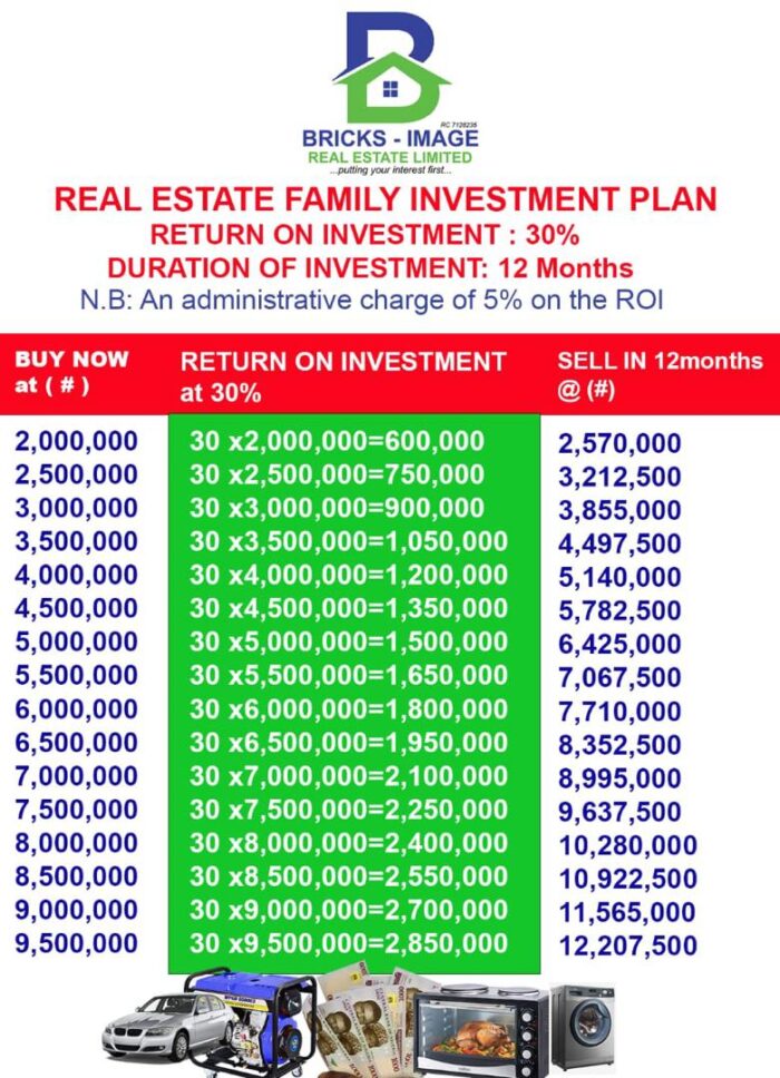 Bricks-Image Buy-2-Sell Investment Scheme (3)